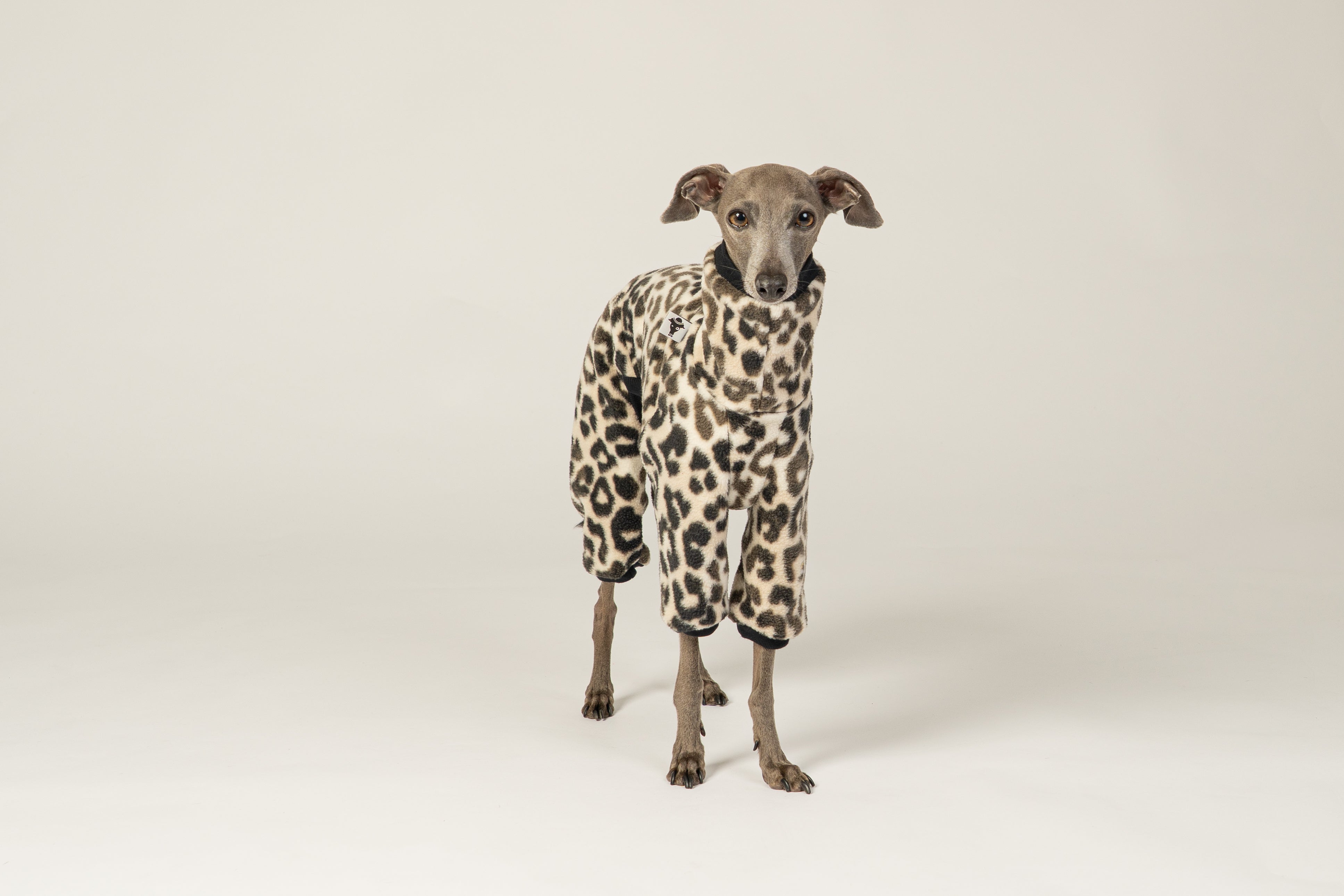 hundeleine mit 2 karabinern Verbindungsteil für 2 Hunde an einer Leine - Koppelleine main image 0