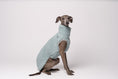 Bild in Galerie-Betrachter laden, Italian Greyhound Teddy Shirt Mint