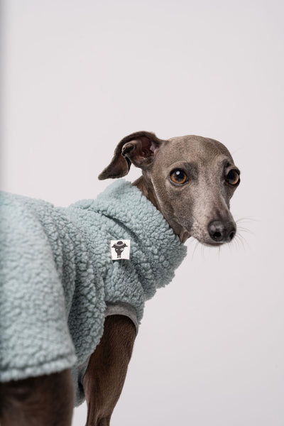 Italienisches Windspiel Teddy Long Shirt Mint