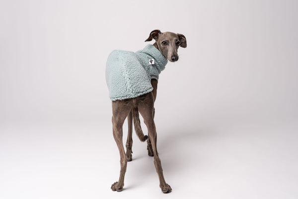 Windspiel Teddy hirt Mint