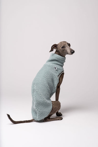 Windspiel Teddy Long Shirt Mint