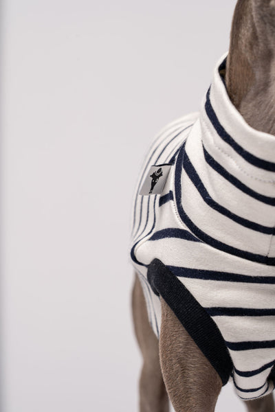 Italienisches Windspiel Ausstattung