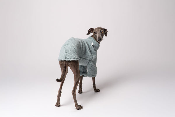 Italienisches Windspiel Teddy Pullover