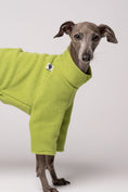 Bild in Galerie-Betrachter laden, Windspiel Fleece Pullover Light Green