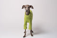 Bild in Galerie-Betrachter laden, Fleece Pullover für Windspiel Light Green