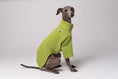 Bild in Galerie-Betrachter laden, Italienisches Windspiel Pullover Light Green