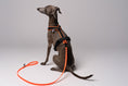 Bild in Galerie-Betrachter laden, RAINLEASH Slim Neon Orange