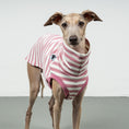 Bild in Galerie-Betrachter laden, COTTON SHIRT Iggy Pink Stripes