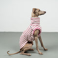 Bild in Galerie-Betrachter laden, COTTON SHIRT Iggy Pink Stripes