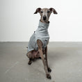 Bild in Galerie-Betrachter laden, COTTON SHIRT Iggy Grey Melange
