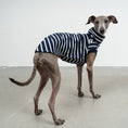 Bild in Galerie-Betrachter laden, COTTON SHIRT Iggy Navy
