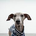 Bild in Galerie-Betrachter laden, COTTON SHIRT Iggy Navy