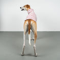 Bild in Galerie-Betrachter laden, COTTON SHIRT Windhund Pink Stripes