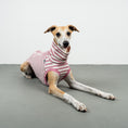 Bild in Galerie-Betrachter laden, COTTON SHIRT Windhund Pink Stripes
