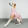 Bild in Galerie-Betrachter laden, COTTON SHIRT Windhund Pink Stripes