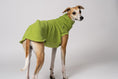 Bild in Galerie-Betrachter laden, FLEECE SHIRT Windhund Light Green