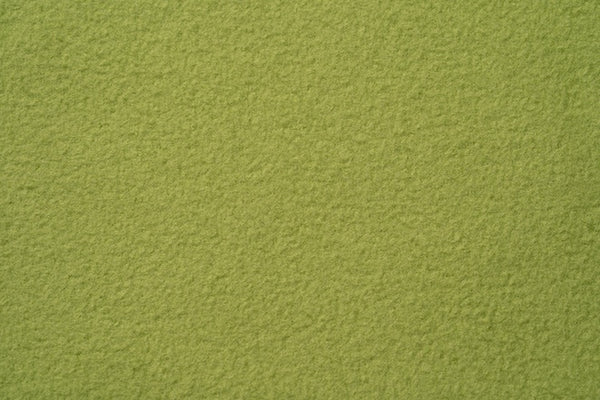LONG SHIRT 2.0 für Italienisches Windspiel in Light Green