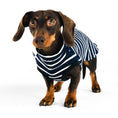 Bild in Galerie-Betrachter laden, Shirt aus Baumwolle für Dackel mit Streifen