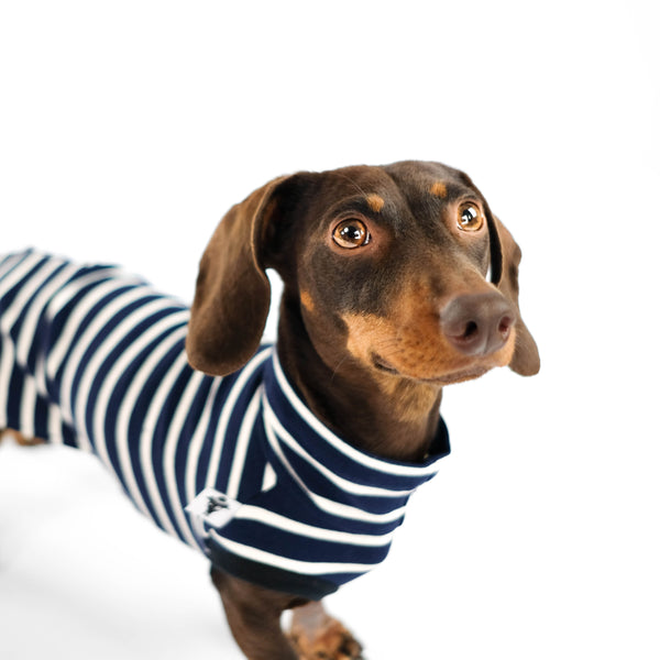 Shirt für Dackel aus Baumwolle in Navy