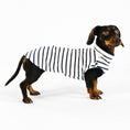 Bild in Galerie-Betrachter laden, Dackel Cotton Shirt Stripes White