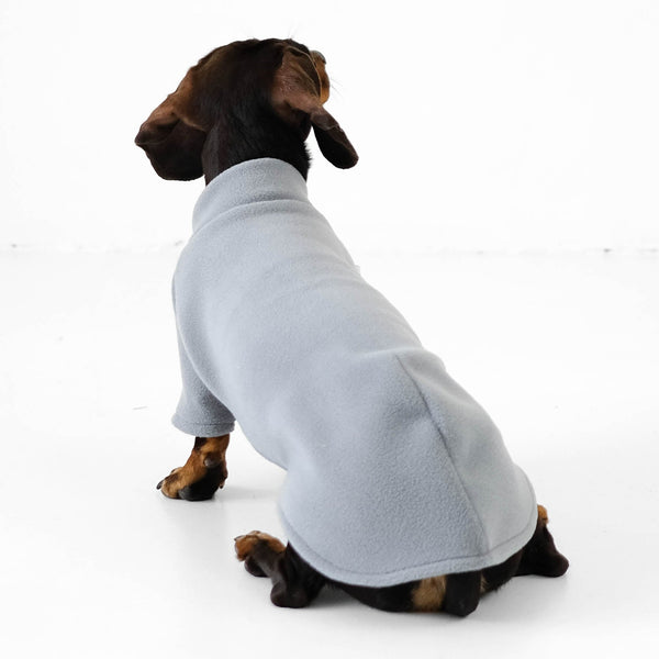 Dachshund Jumper