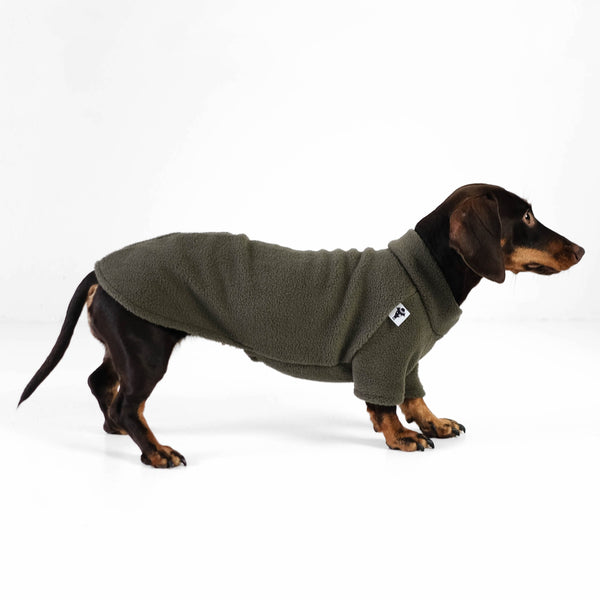 Dackelpullover olive