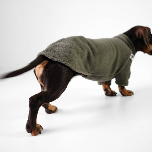 Dackel Hunde Kleidung