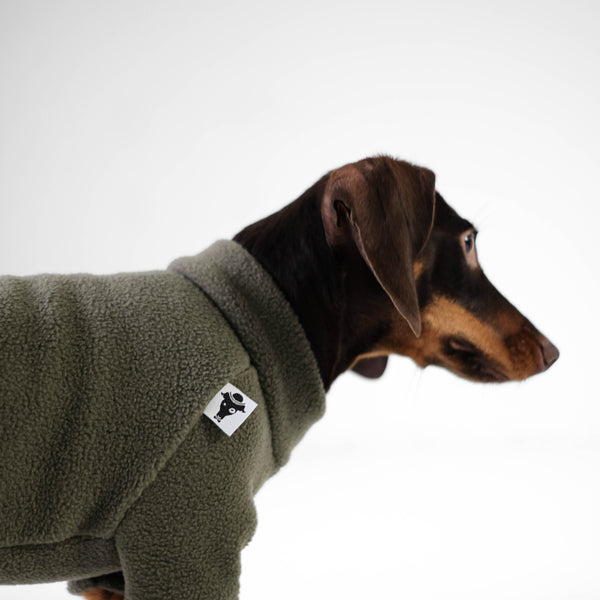 Dackel Hund Kleidung