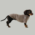 Bild in Galerie-Betrachter laden, Dackel Fleece Pullover