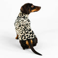 Bild in Galerie-Betrachter laden, Dackel Fleece Long Shirt 2.0 in Leo