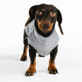 Bild in Galerie-Betrachter laden, Dackel Fleece Long Shirt 2.0 Light Gray
