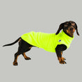Bild in Galerie-Betrachter laden, Dackel Fleece Long Shirt 2.0 Neon Yellow