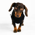 Bild in Galerie-Betrachter laden, Dackel Fleece Long Shirt 2.0 in Schwarz