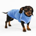 Bild in Galerie-Betrachter laden, Dackel Fleece Long Shirt 2.0 Sky blue