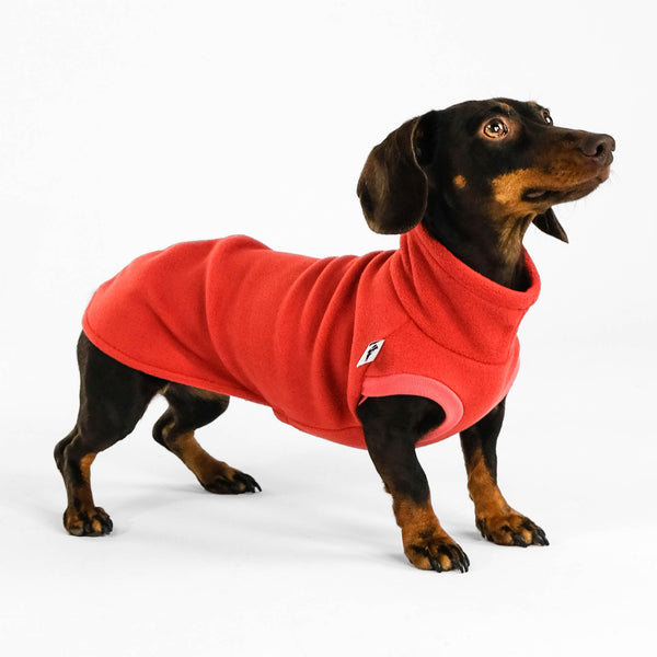 Dackel Long Shirt 2.0 in Terracotta