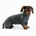 Bild in Galerie-Betrachter laden, Dackel Fleece Overall Graphite