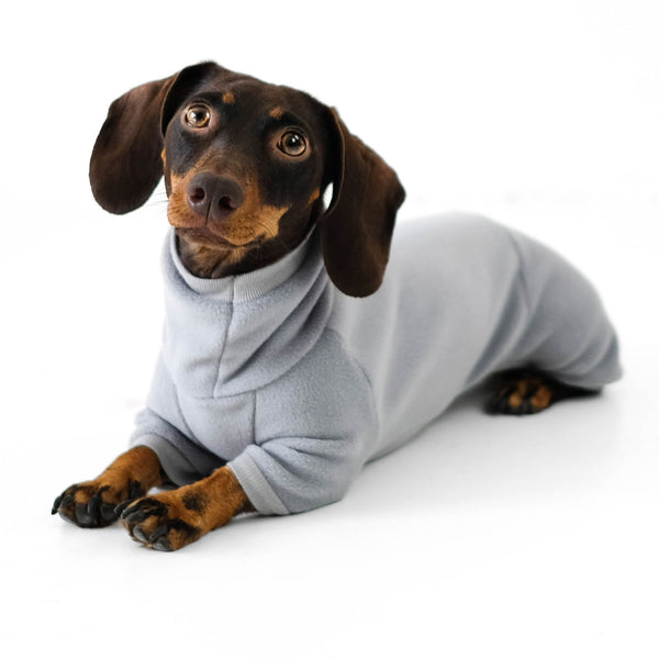 Dackel Pullover Grau