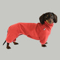 Bild in Galerie-Betrachter laden, Dachshund Jumpsuit