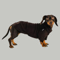 Bild in Galerie-Betrachter laden, Dackel Fleece Pullover Brown