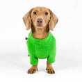 Bild in Galerie-Betrachter laden, Dackel Fleece Pullover Grass Green