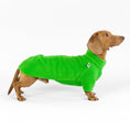 Bild in Galerie-Betrachter laden, Dackel Fleece Pullover Apfelgrün