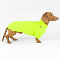 Bild in Galerie-Betrachter laden, Fleece Sweater Neon Yellow for Dachshund