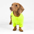 Bild in Galerie-Betrachter laden, Dackel Fleece Pullover Neon Yellow