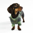 Bild in Galerie-Betrachter laden, Dachshund Jumper
