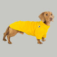 Bild in Galerie-Betrachter laden, Dackel Pullover Sunflower