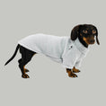 Bild in Galerie-Betrachter laden, Dackel Pullover Light Grey
