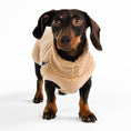 Bild in Galerie-Betrachter laden, Dackel Teddy Shirt 2.0 in Camel