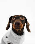 Bild in Galerie-Betrachter laden, Dackel Teddy Shirt 2.0 in Light Gray