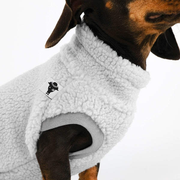 Dackel Teddy Long Shirt 2.0 in Light Gray