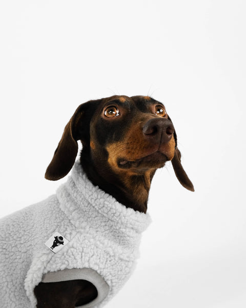 Dackel Teddy Shirt 2.0 in Light Gray